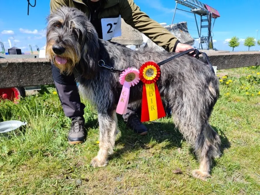 Grattis till Asaskogens Rinda bild 2
