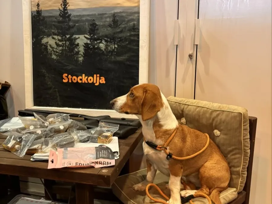 På Sydsvenskan Game Fair bild 1