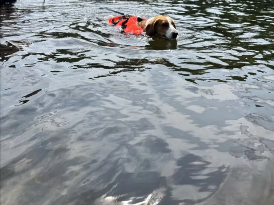 Träning bild 2