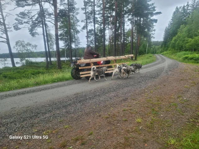 September jakt i Jämtland 