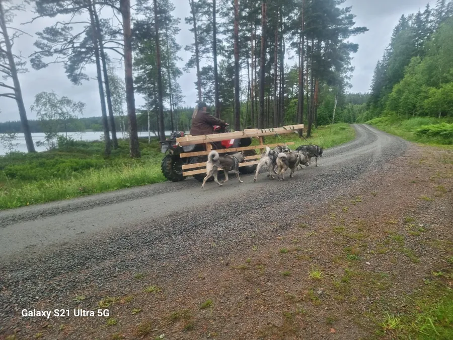 September jakt i Jämtland  bild 1