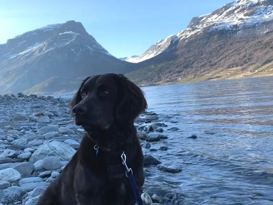 Hälsningar från Norge 🇳🇴  bild 3