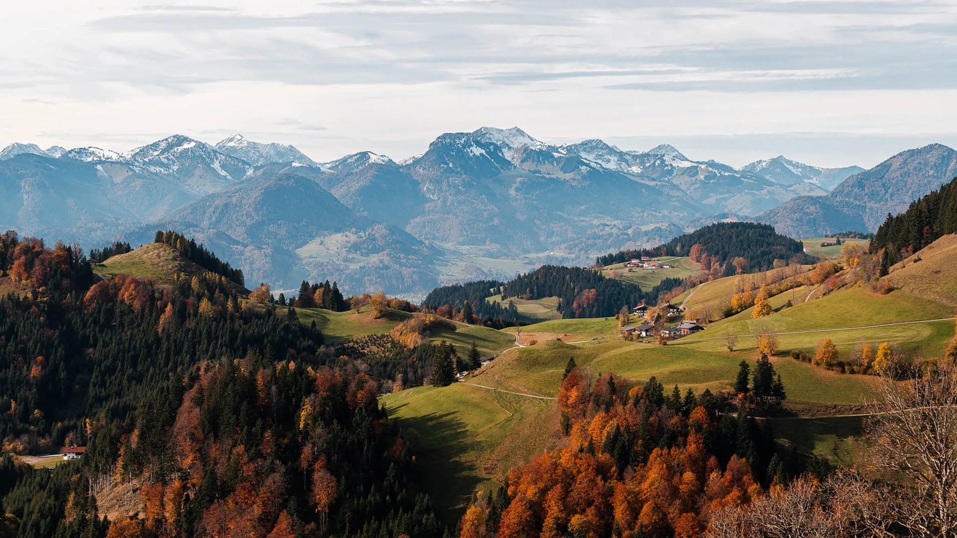 Herbstliche Hügellandschaft mit Wäldern und schneebedeckten Bergen bei Walchsee