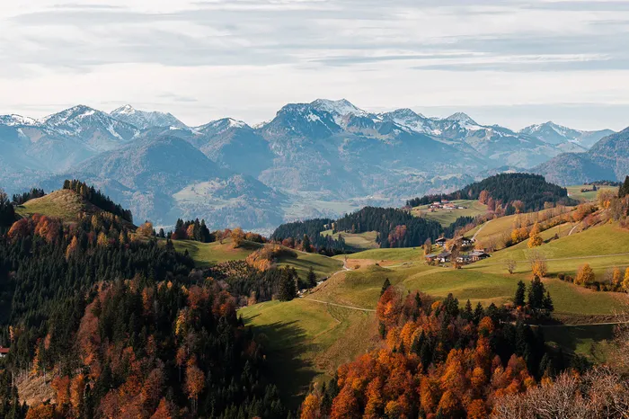 Herbstliche Hügellandschaft mit Wäldern und schneebedeckten Bergen bei Walchsee