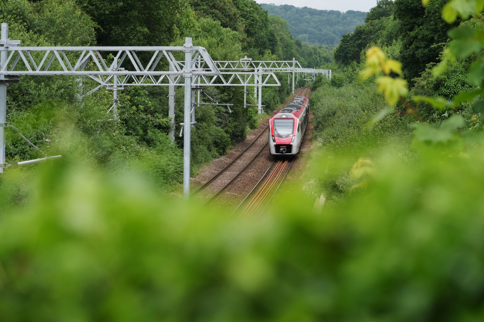 A Transport for Wales train on the green, protected rail corridor