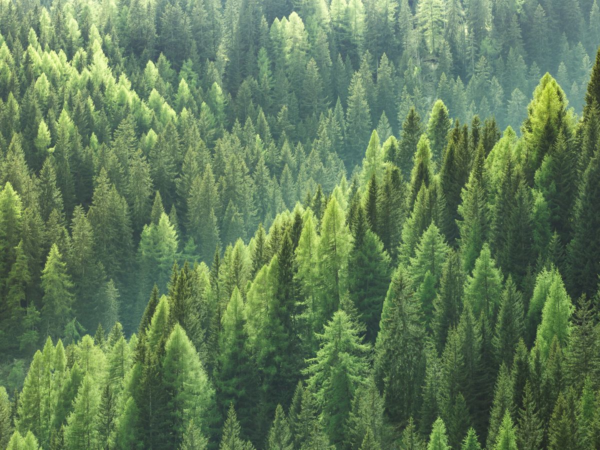 Planet Passionate is our 10-year global sustainability strategy that aims to impact three major global issues: climate change, circularity and protecting our world.