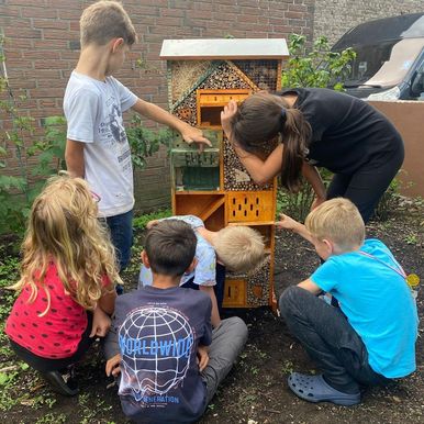 Kingspan Insektenhotel News Artikel 15