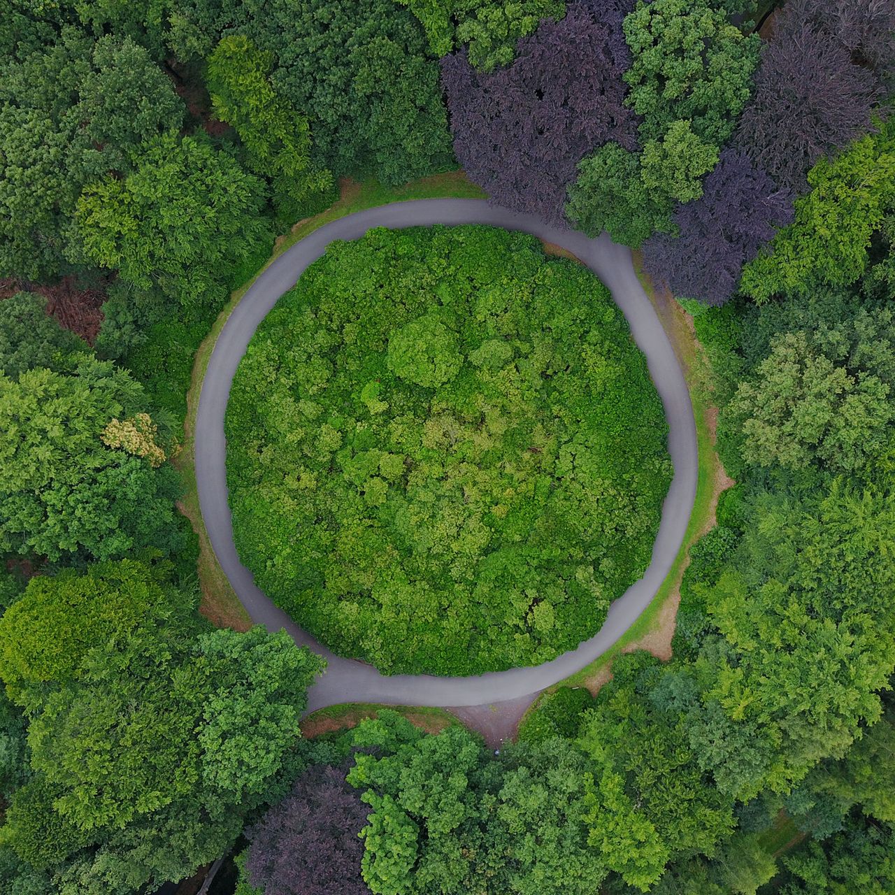 road to circularity