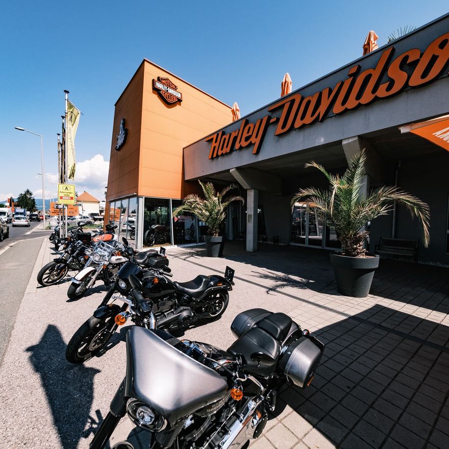 Harley Davidson Gratz