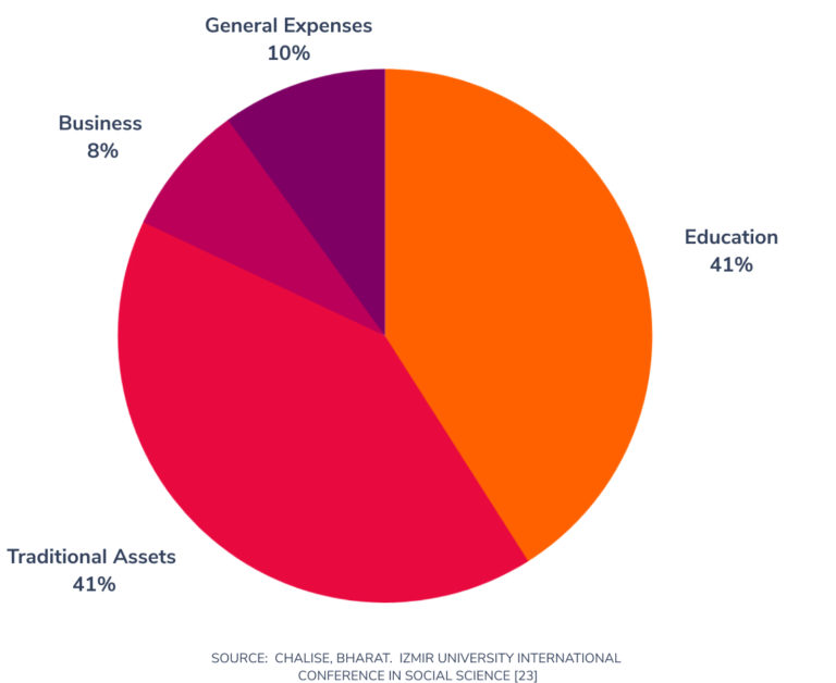 use of remittances in nepal
