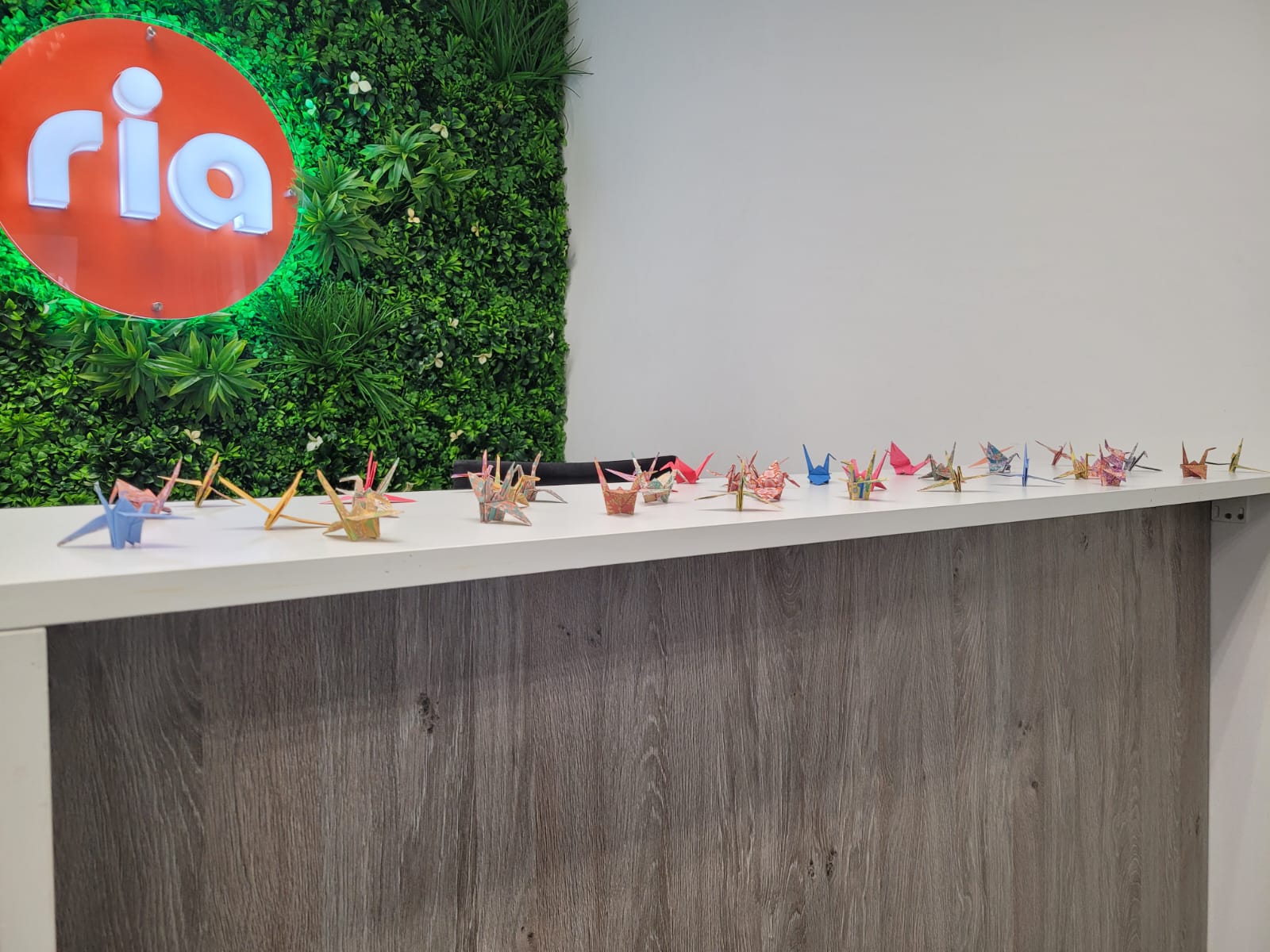 A row of colorful origami cranes is displayed on a wooden counter in front of a green wall with a glowing orange "ria" sign.