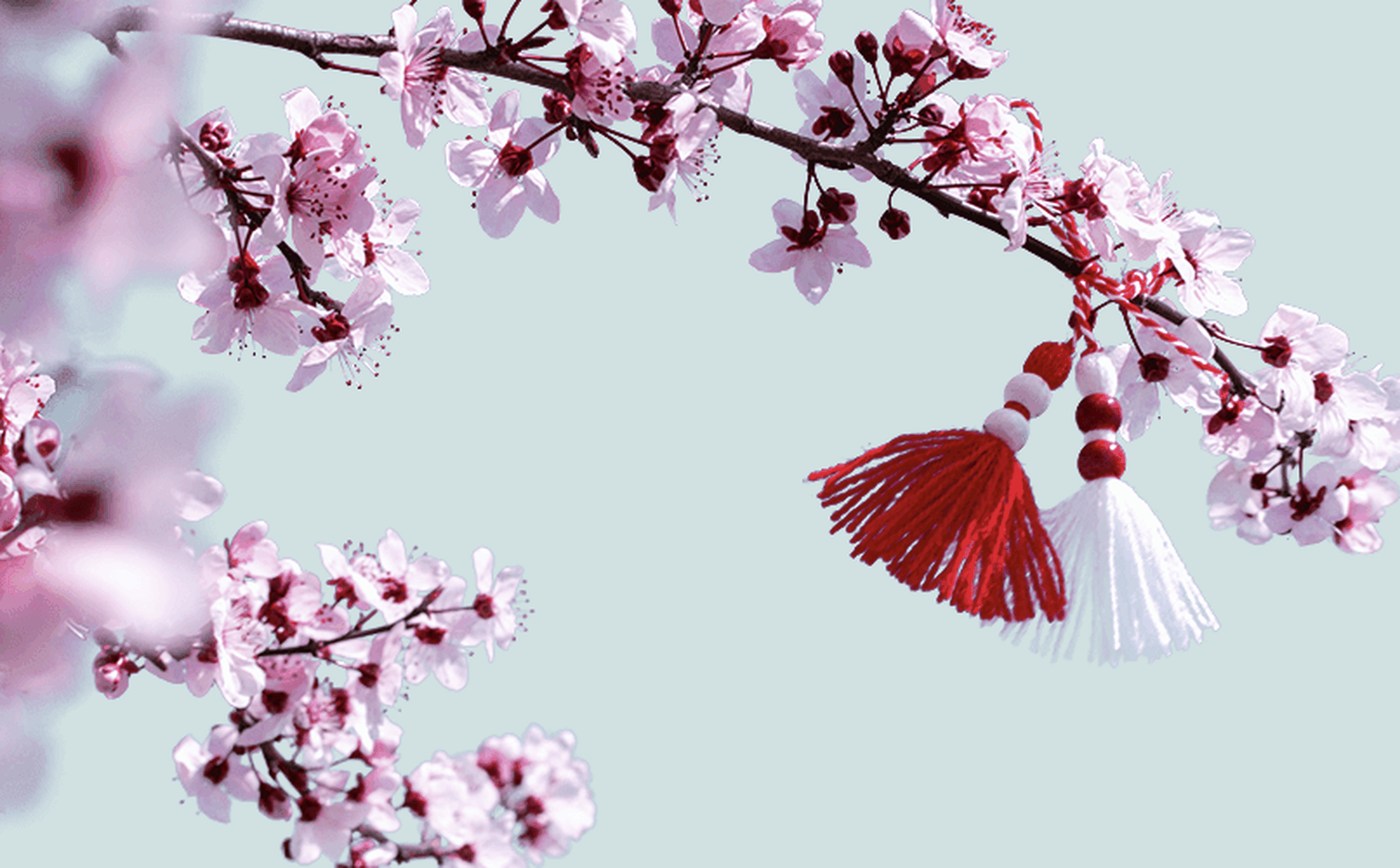 A branch of delicate pink cherry blossoms is adorned with traditional red and white tassels, known as Martenitsa, against a pale blue background. The vibrant colors of the tassels contrast beautifully with the soft hues of the blossoms.