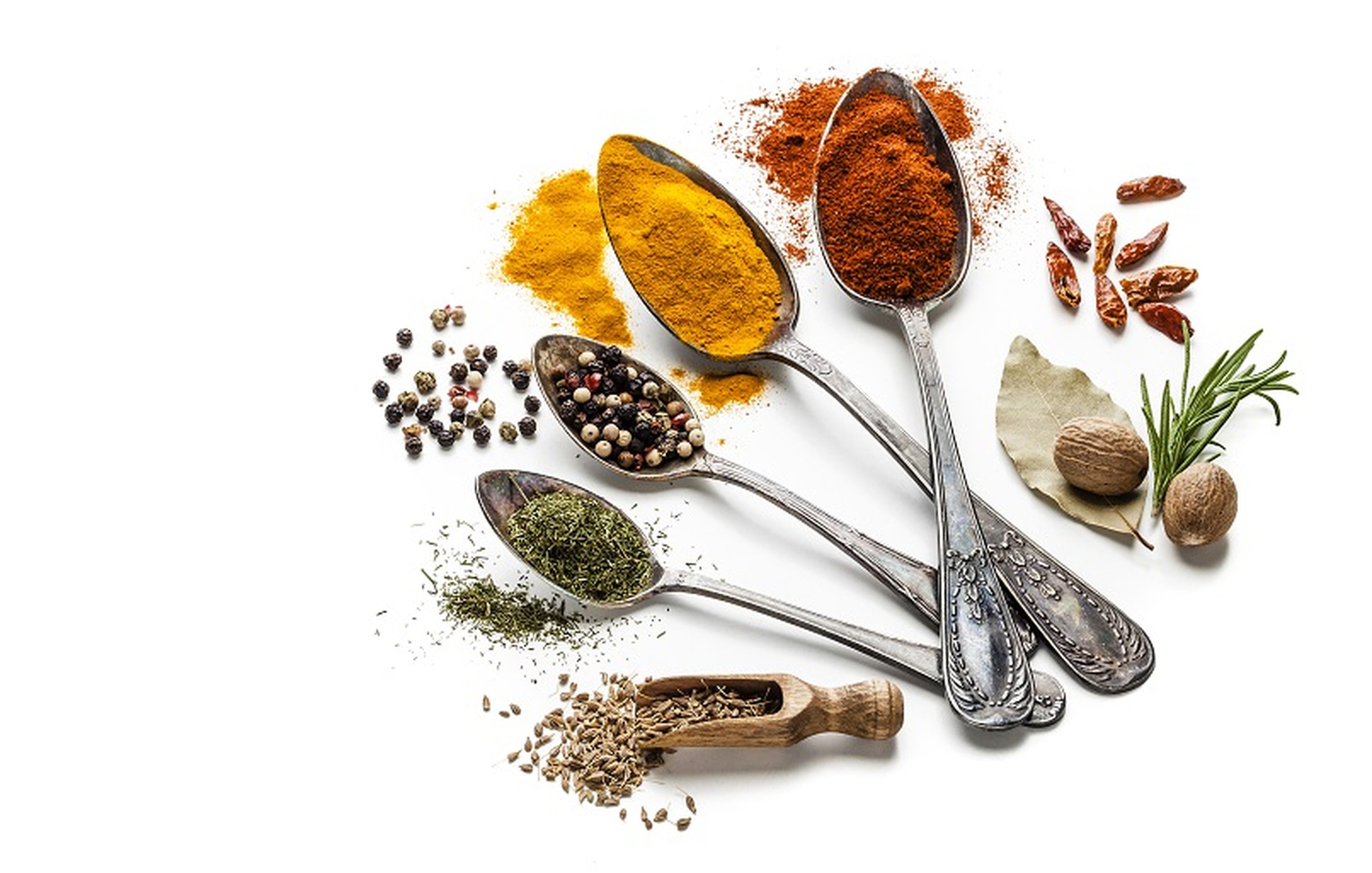 Best Indian Food: Dishes You Should Try