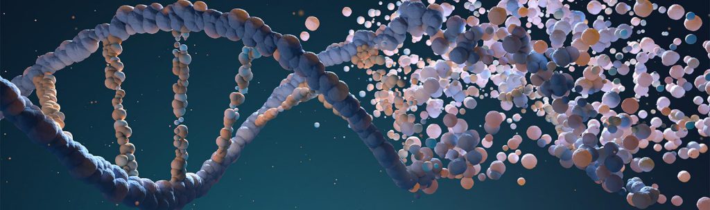 Doppelhelix