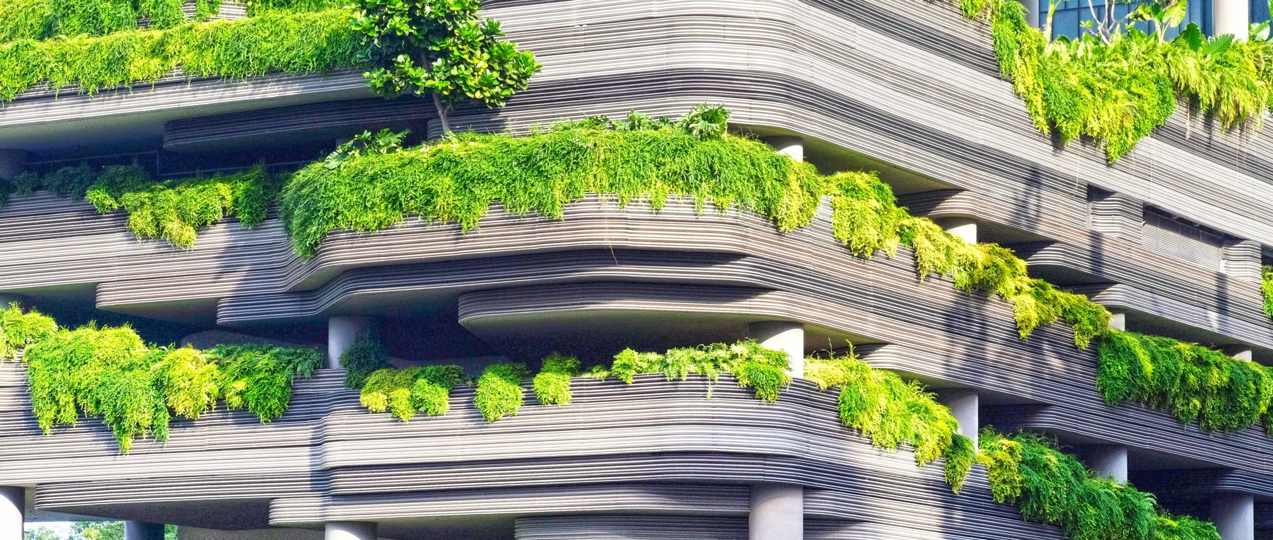 Green Building