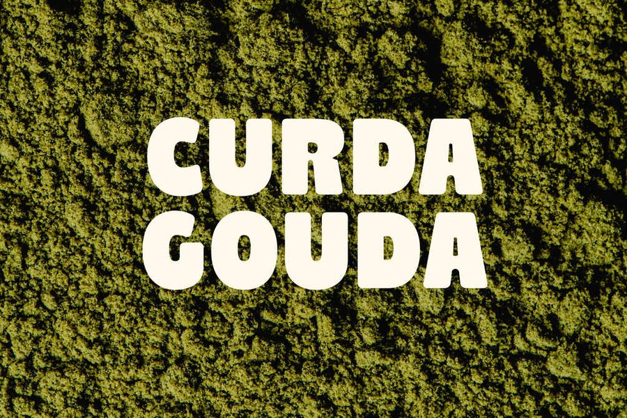 Curda Gouda specimen