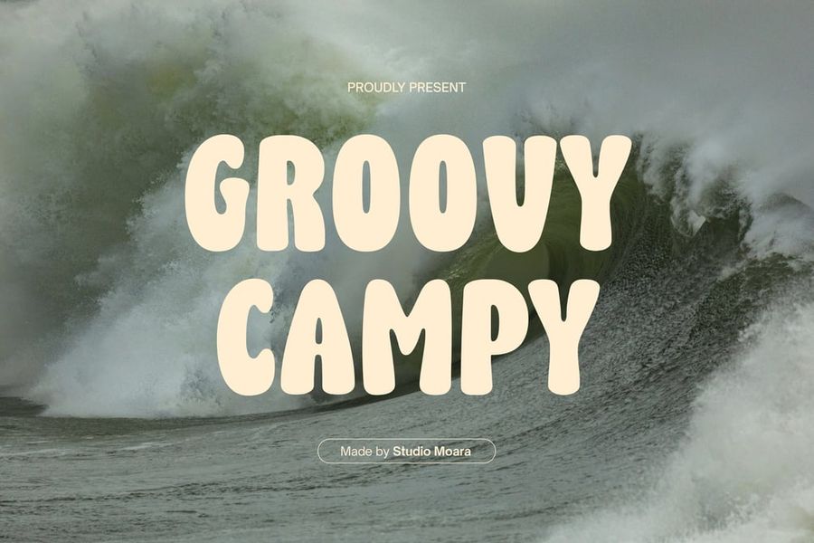 Groovy Campy specimen