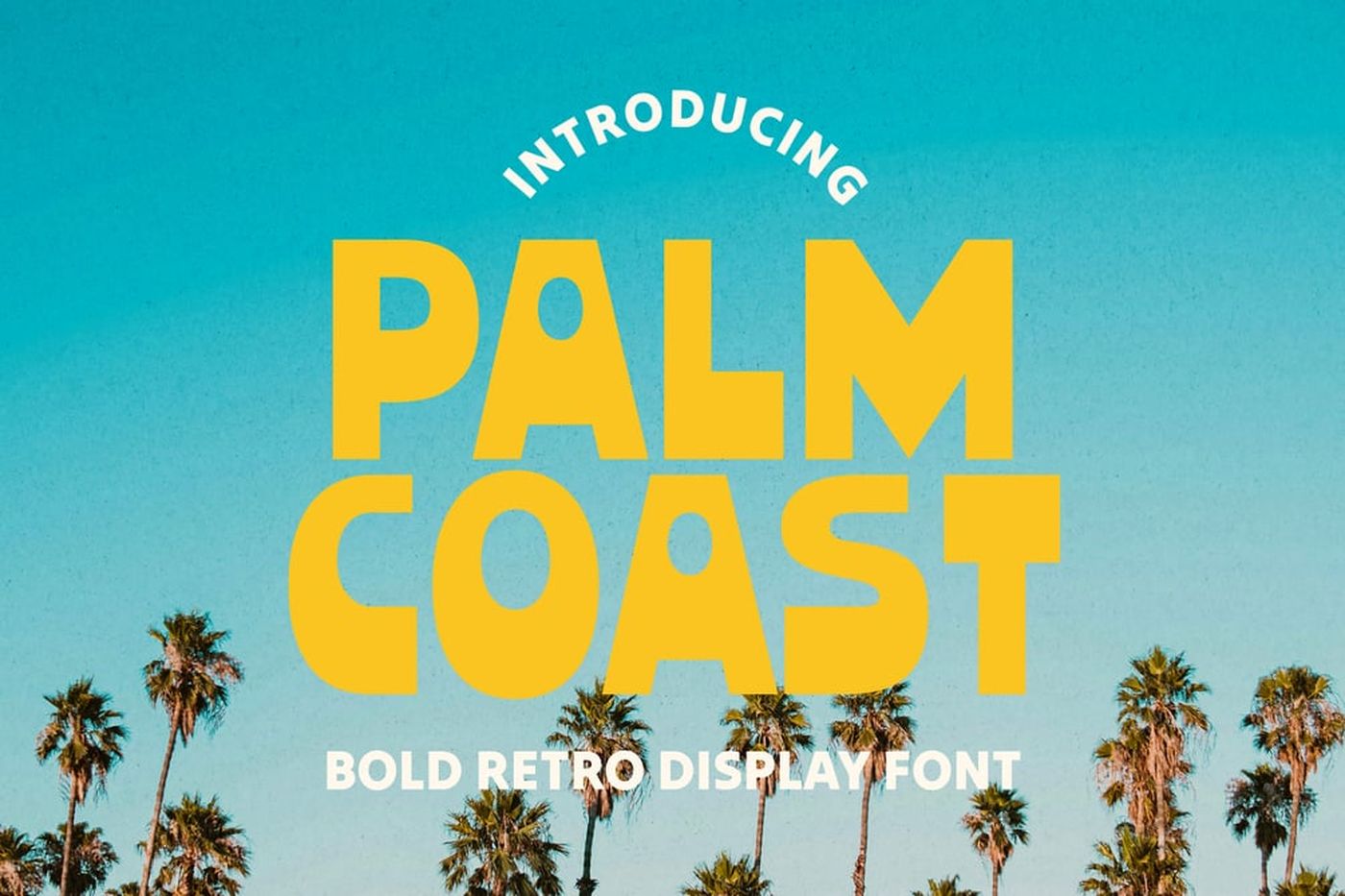 Palm Coast font specimen