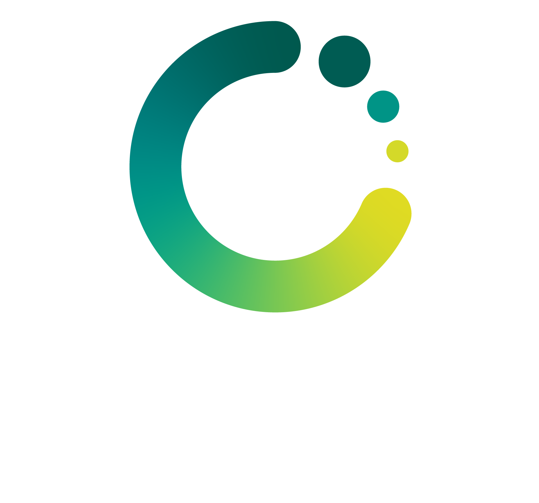 Change Insight