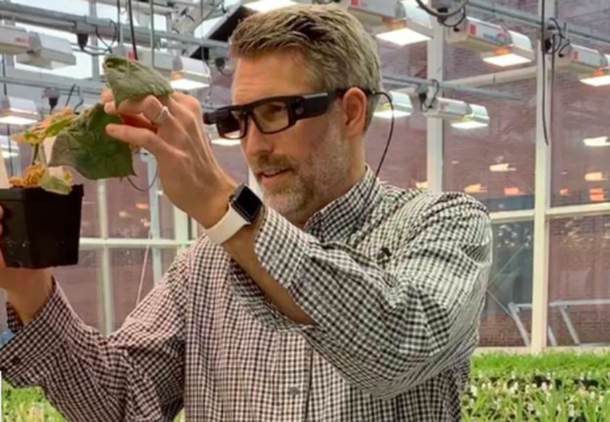 Bayer accelerates crop science data collection with smart glasses and voice
