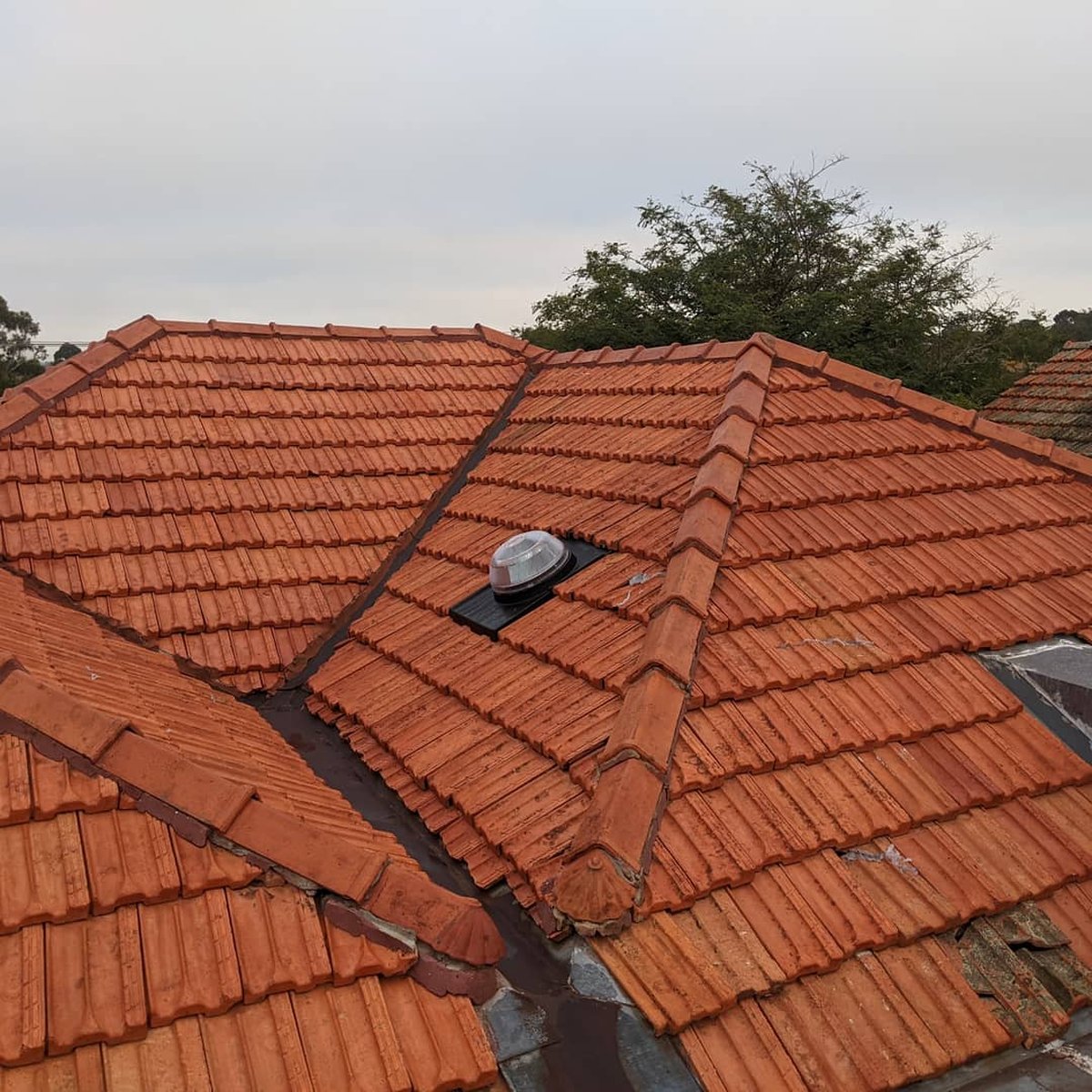 6 signs your tile roof needs restoring before it starts leaking
