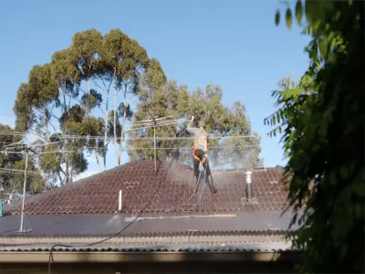 How to clean roof tiles safely (and why moss is a problem)