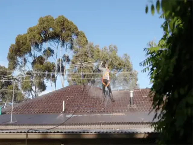 How to clean roof tiles safely (and why moss is a problem)