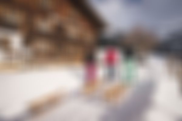 3 Wanderer mit einem Schlitten vor einem Gasthaus