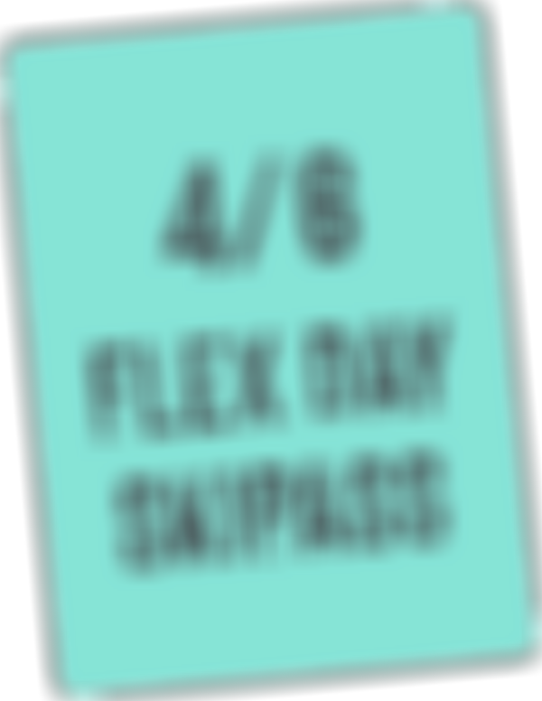 Image 4 of 6: Election Day Ski Pass