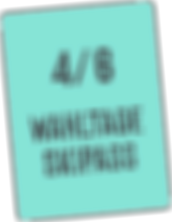 Infokarte 4/6 Wahltage Skipass