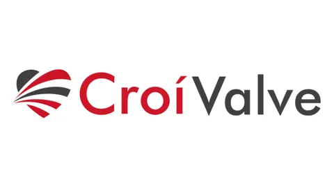 CroíValve raises $16m in Series B for heart valve treatment device