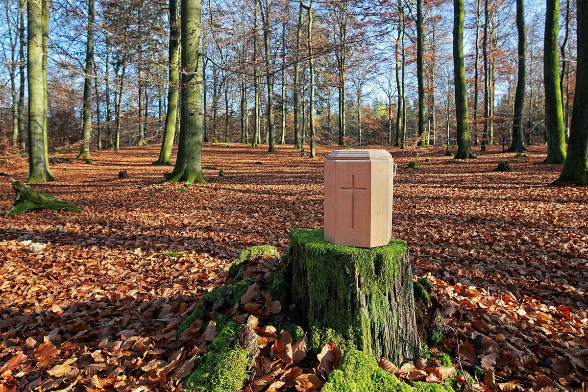 Abschiednahme im FriedWald