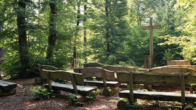 Andachtsort in der Natur | November organisiert auch Waldbestattungen überall in Deutschland