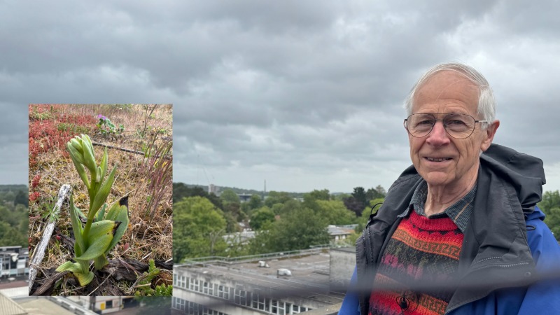 Campus biodiversity project wins national sustainability award