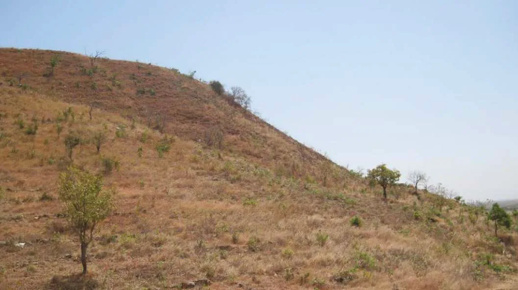 Niger restoration