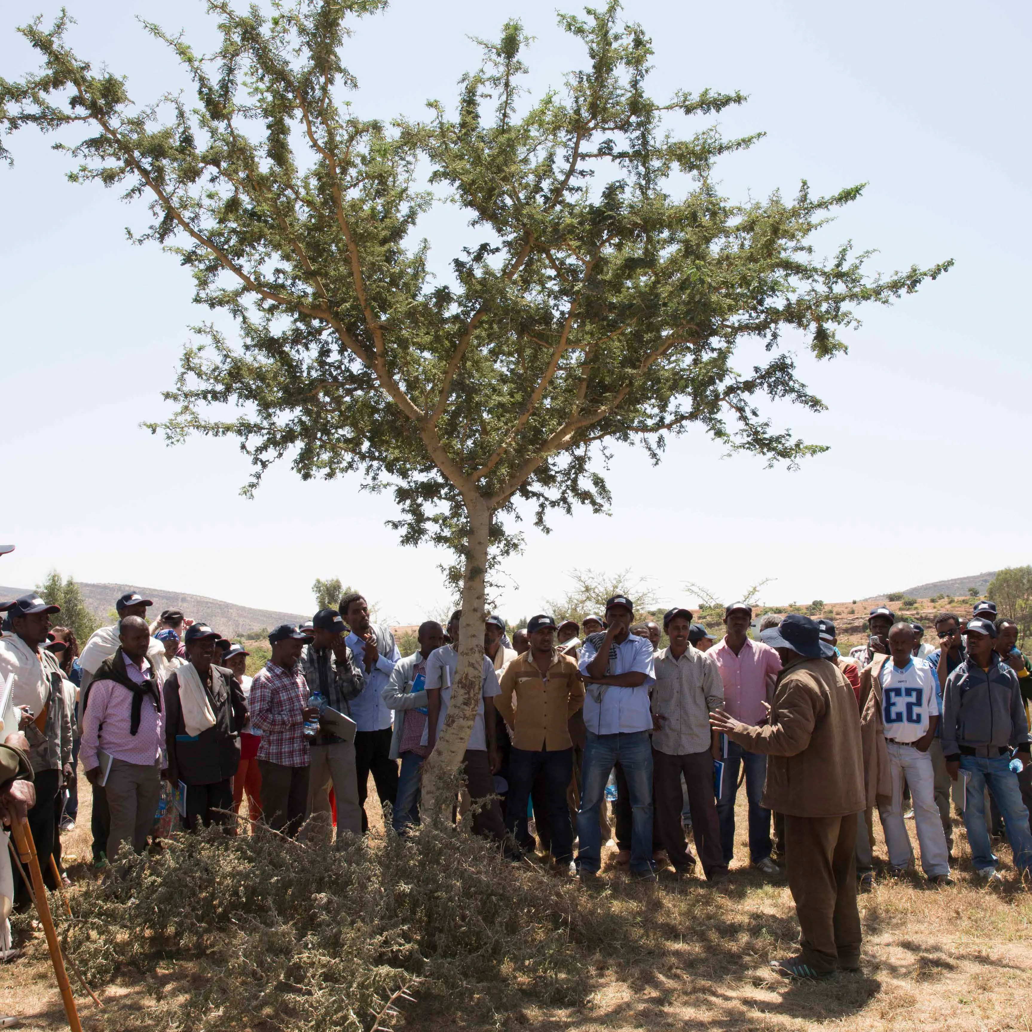 FMNR farmers gathered for outdoor training