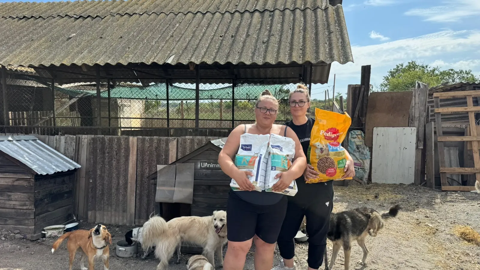Dyrefoder fra Danmark når frem til næsten 500 hunde og katte