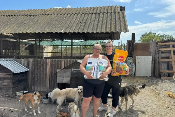 Dyrefoder fra Danmark når frem til næsten 500 hunde og katte