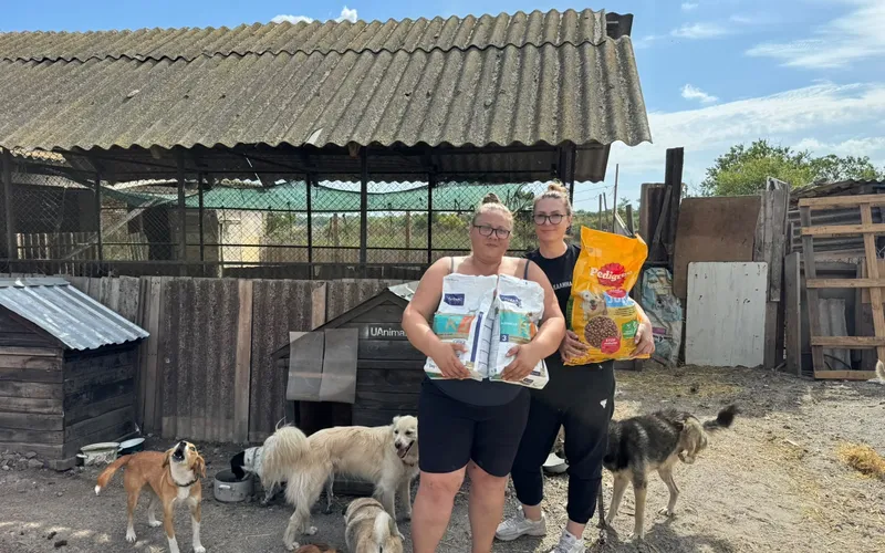 Dyrefoder fra Danmark når frem til næsten 500 hunde og katte