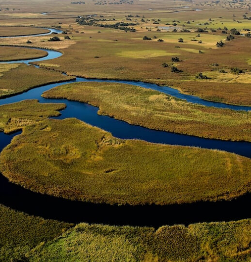 Picture of the author