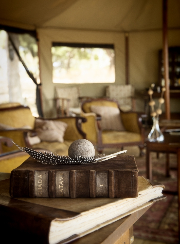 Picture of the author