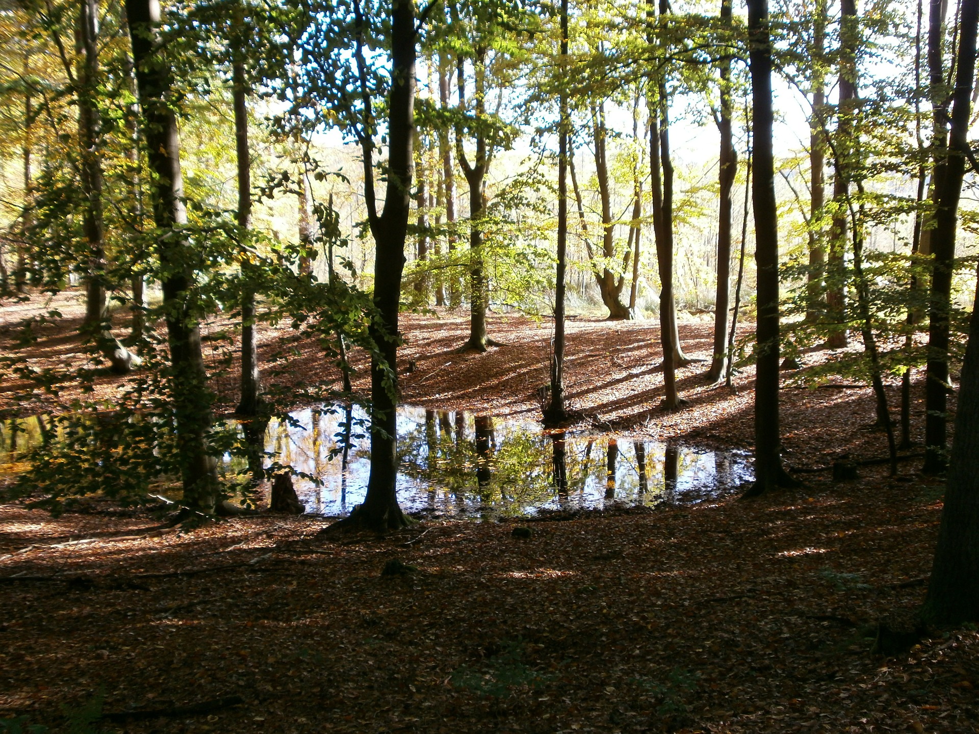 Deutschlandreise Schorfheide