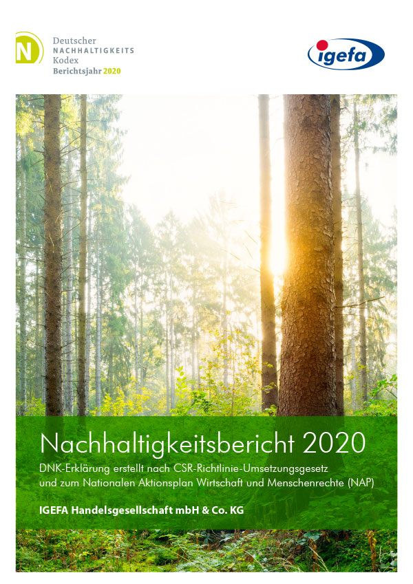 Titelseite Nachhaltigkeitsbericht 2020 mit sonnendurchflutetem Nadelwald