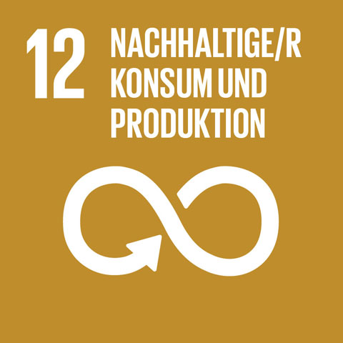 Logo Nachhaltigkeitsziel 12: Nachhaltige/r Konsum und Produktion