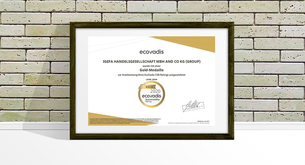 EcoVadis Zertifikat 2020