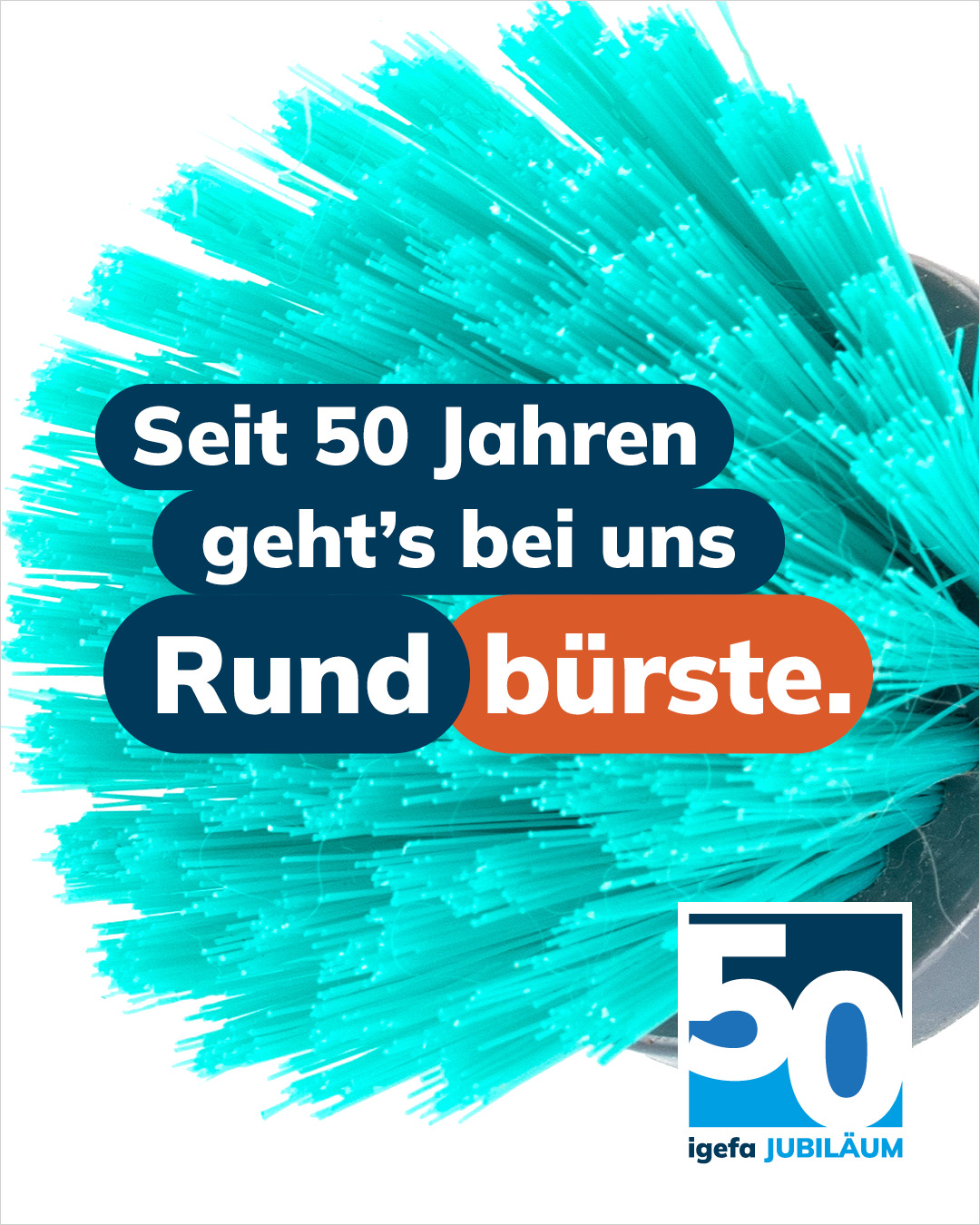 Türkise Rundbürste, Schriftzug Seit 50 Jahren geht's bei uns Rundbürste