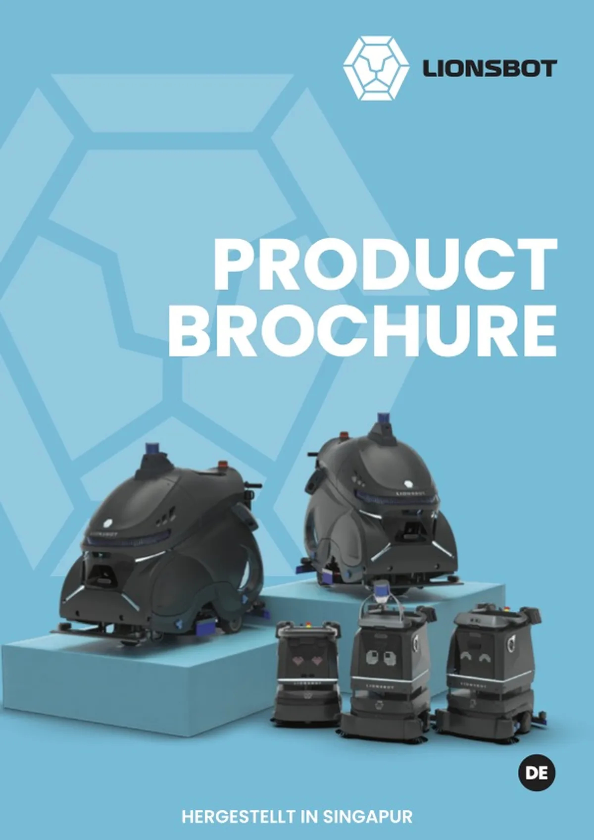 LionsBot Brochure Structure