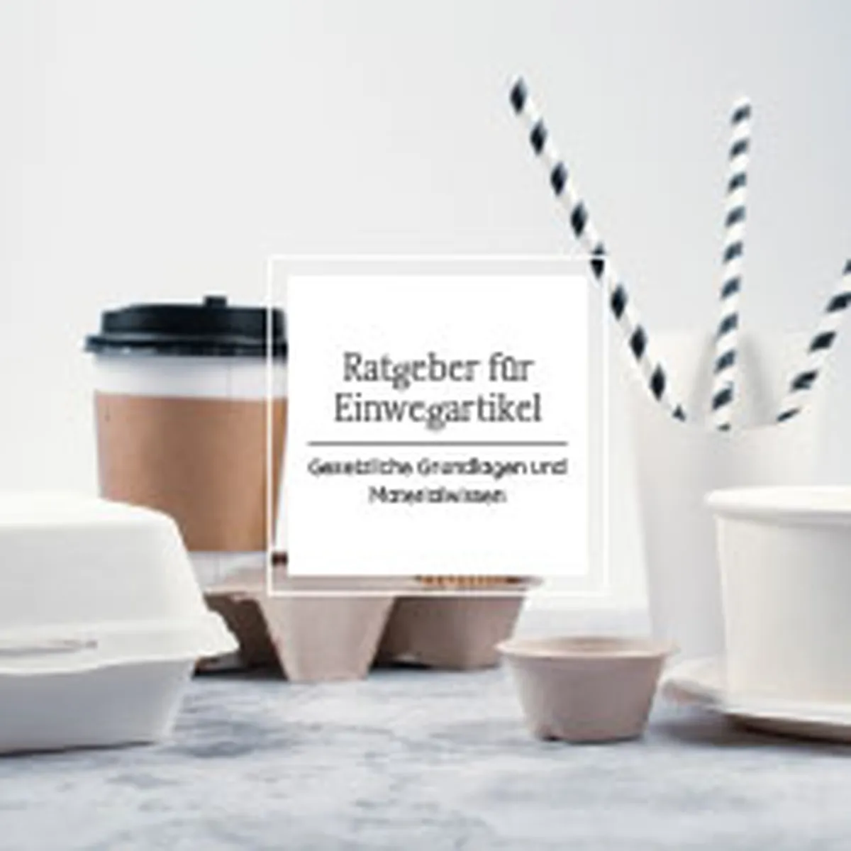 Einwegprodukte Einwegratgeber