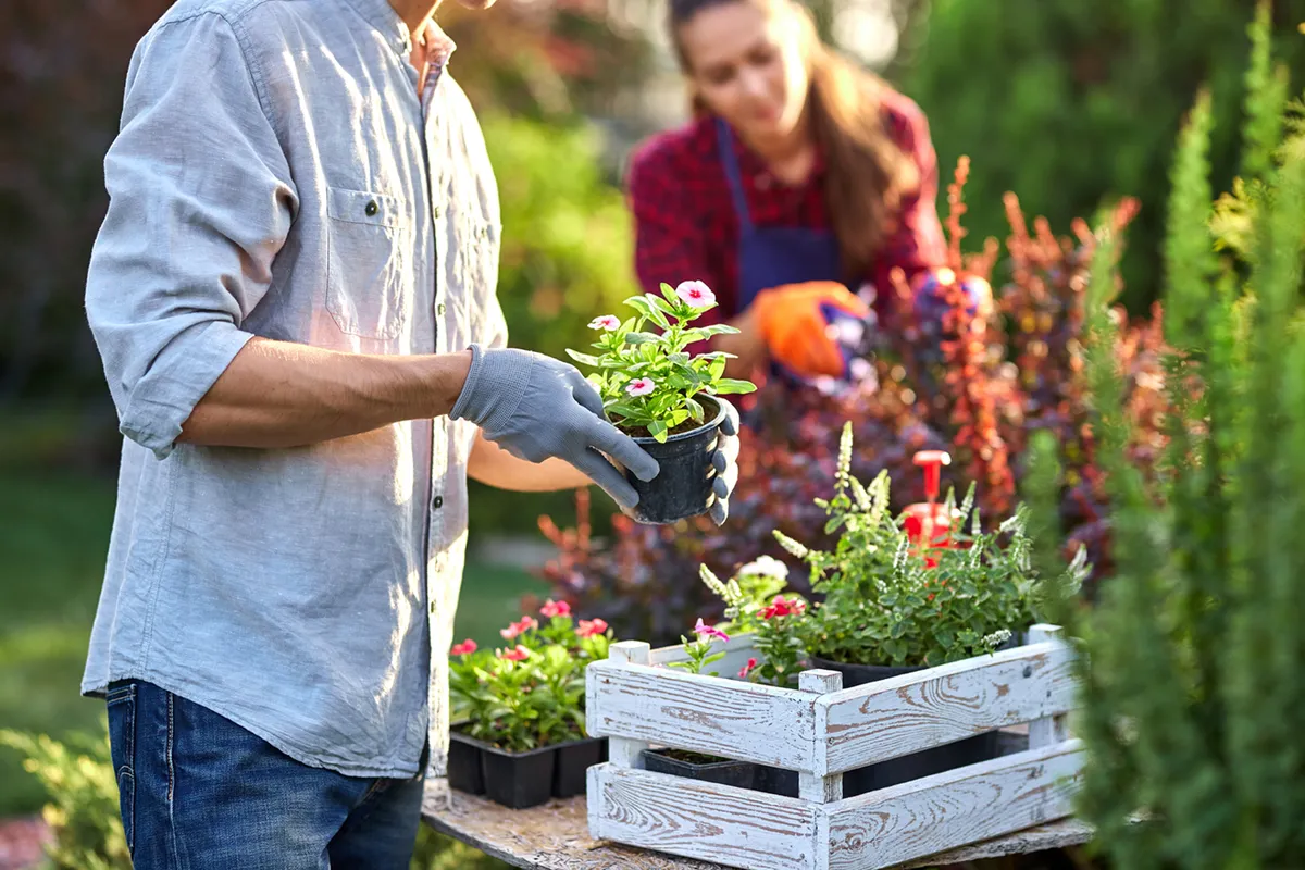 Gartenarbeit