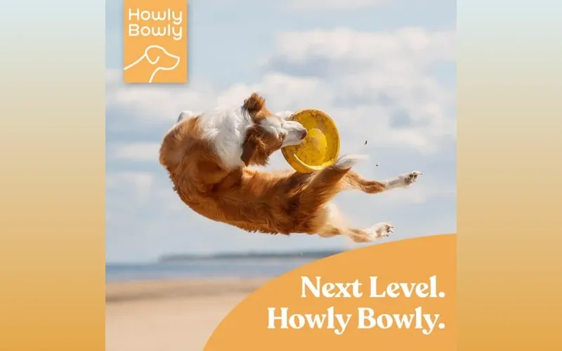 HowlyBowly